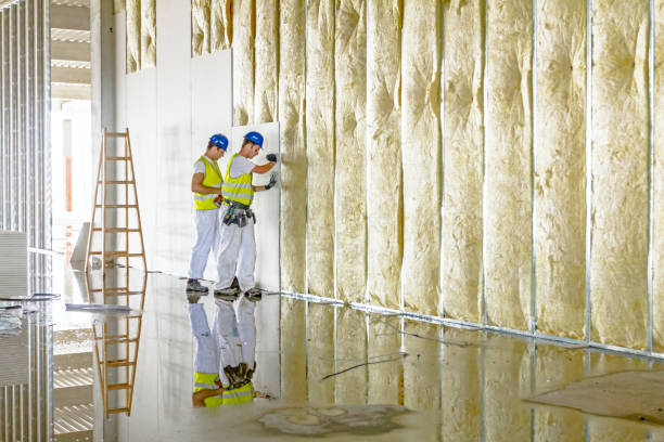 Best Cellulose Insulation in Ritzville, WA